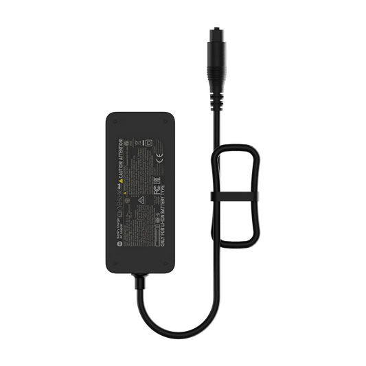 Xiaomi Electric Scooter Fast Charger 2